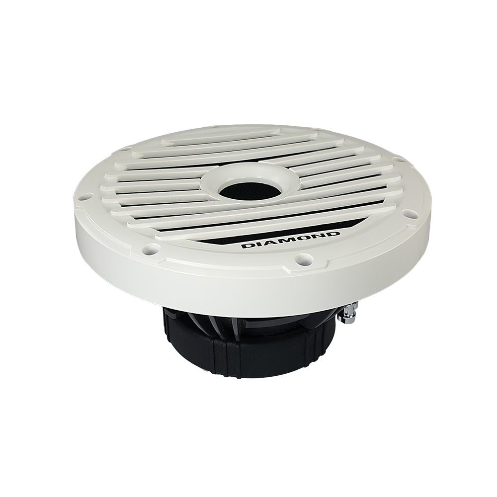 Diamond Audio 10 Inch 250mm Free Air Marine Subwoofer