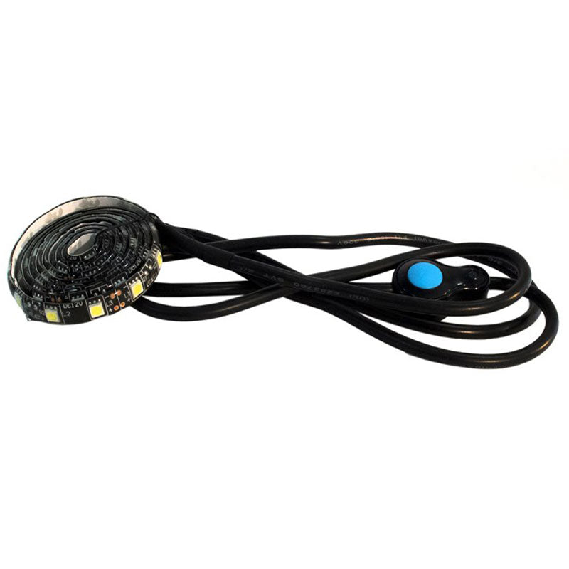 Race Sport LED-20BEDW
