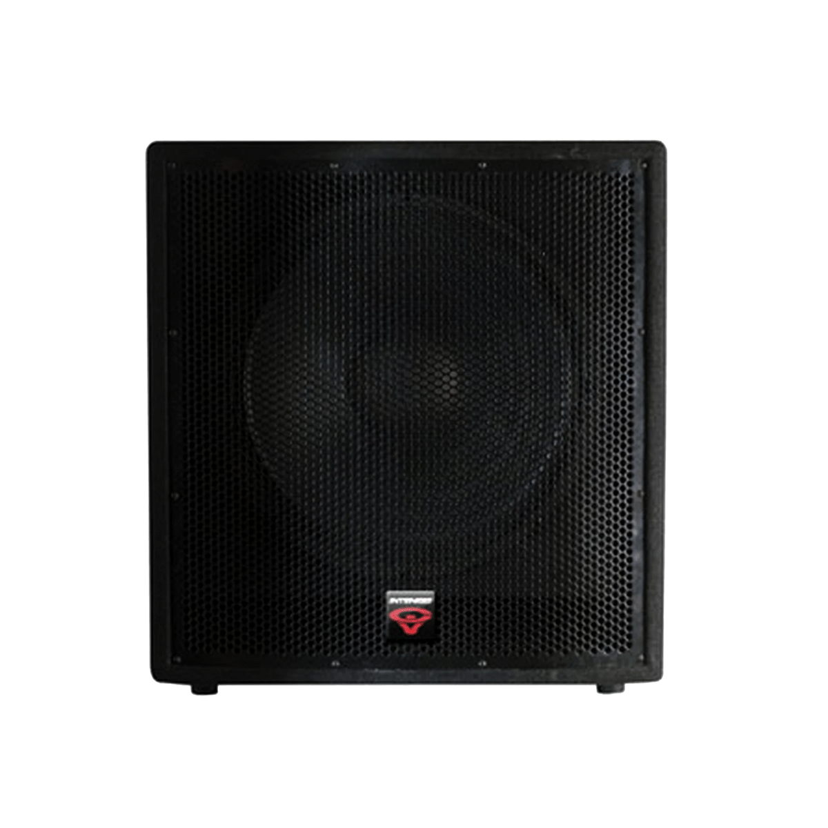 Cerwin-Vega Intense! V2 Professional PA Speaker System