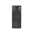 Cerwin-Vega Intense! V2 Professional PA Speaker System
