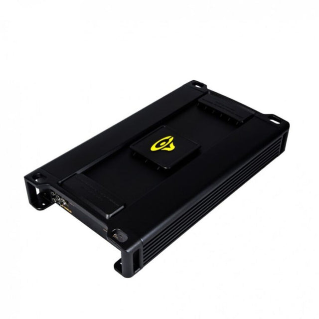 Class-D Stable Monoblock Amplifier with Bass Knob
