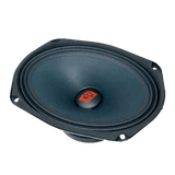 Cerwin Vega PRO Series Full Range Speaker